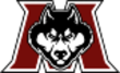MRHS-MAMS Husky 110